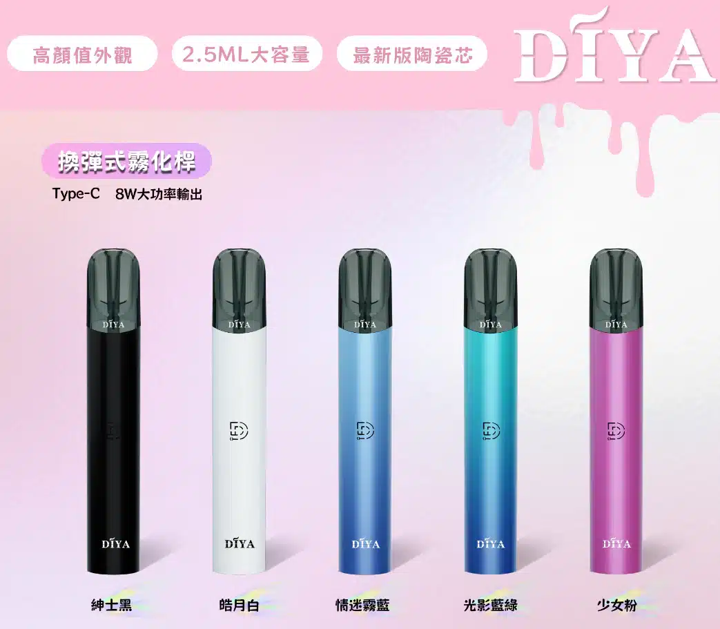 DIYA 一代叮啞主機
